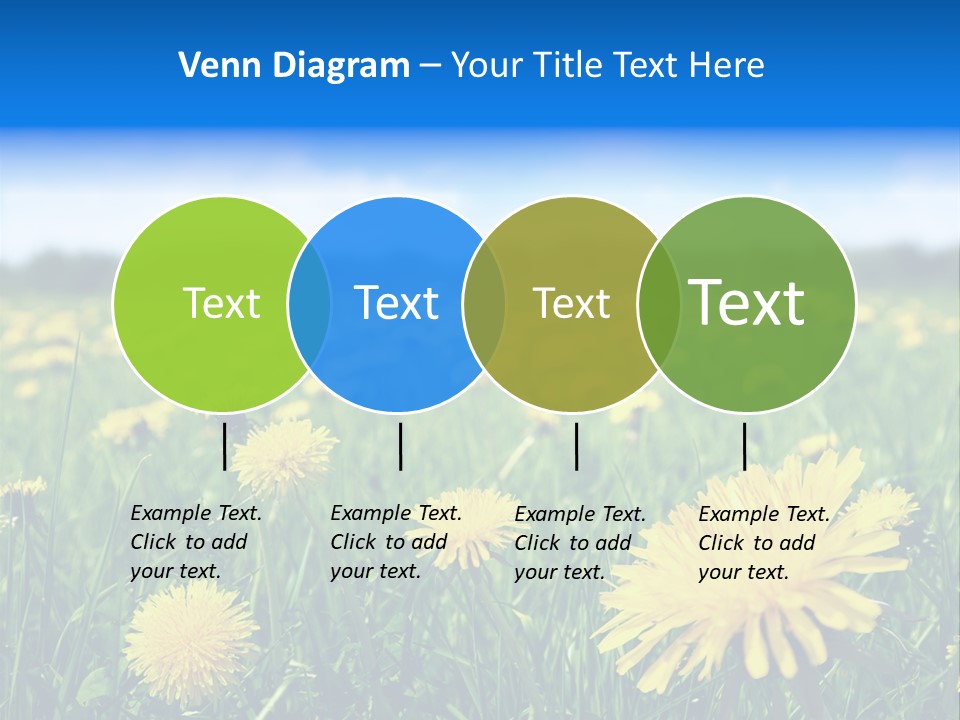 A Field Full Of Yellow Dandelions Under A Blue Sky PowerPoint Template