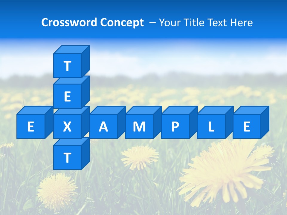 A Field Full Of Yellow Dandelions Under A Blue Sky PowerPoint Template
