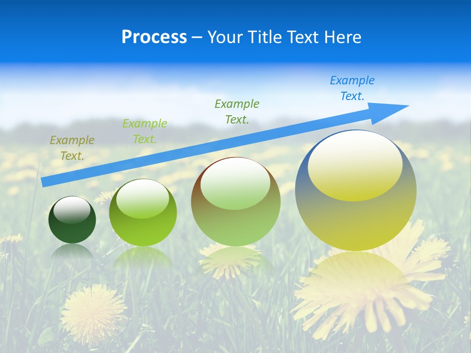 A Field Full Of Yellow Dandelions Under A Blue Sky PowerPoint Template