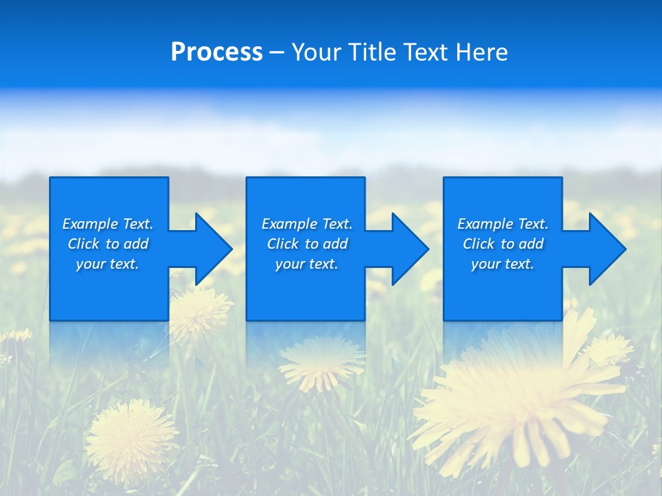 A Field Full Of Yellow Dandelions Under A Blue Sky PowerPoint Template
