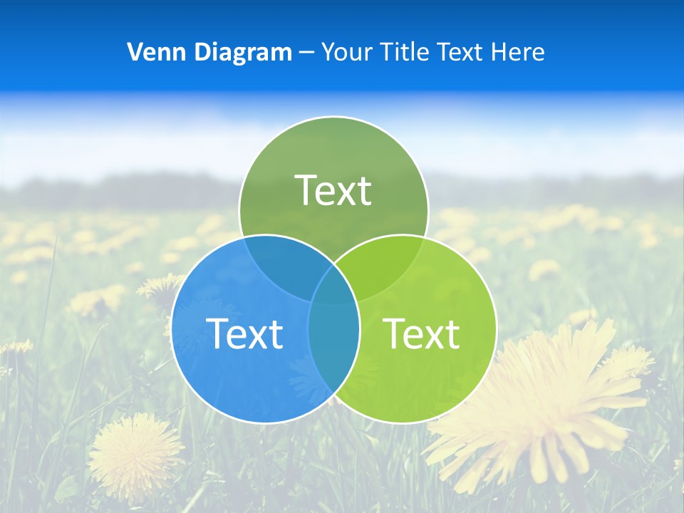 A Field Full Of Yellow Dandelions Under A Blue Sky PowerPoint Template