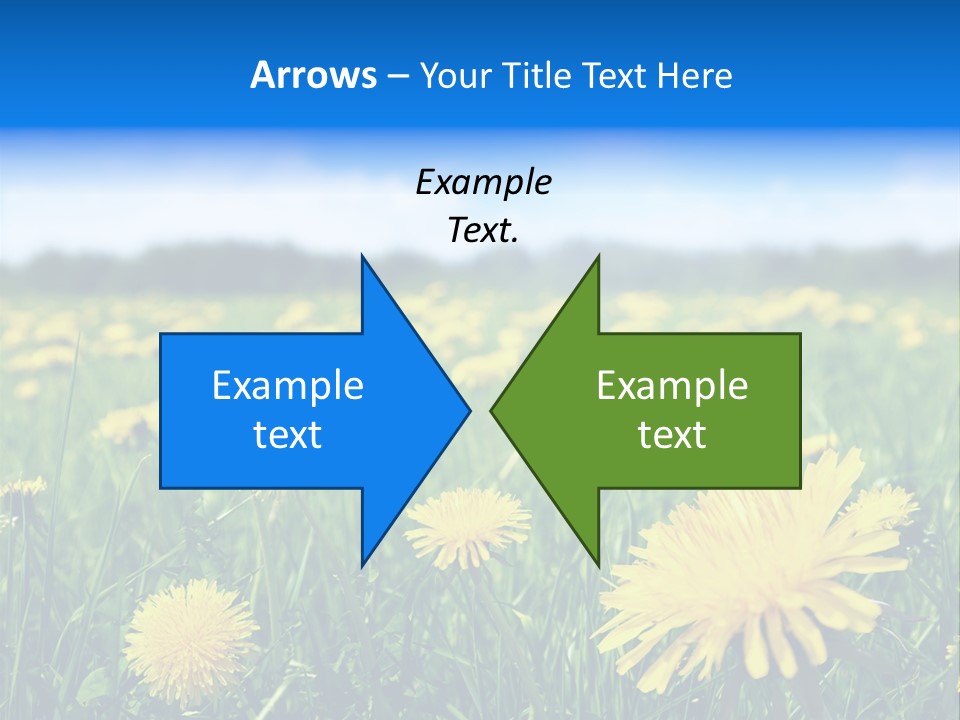 A Field Full Of Yellow Dandelions Under A Blue Sky PowerPoint Template
