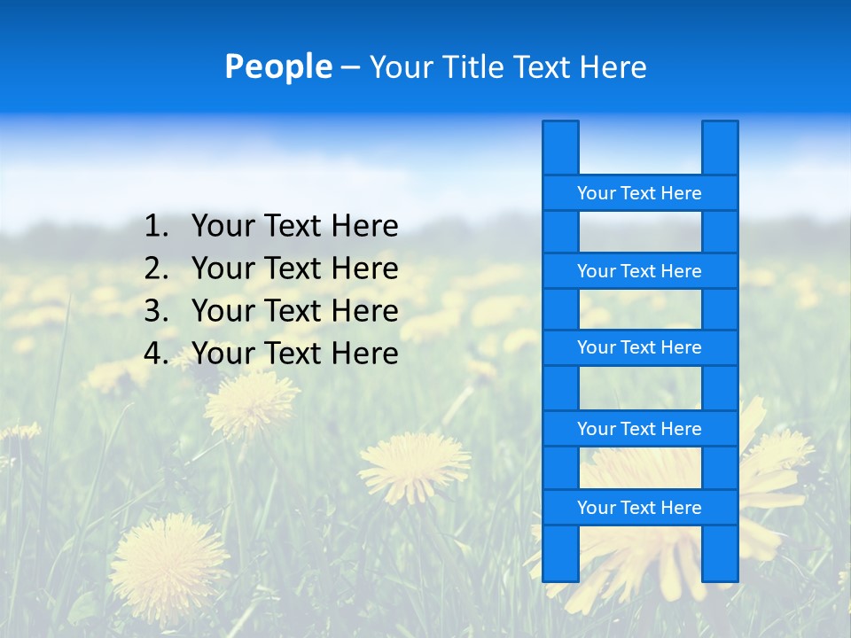 A Field Full Of Yellow Dandelions Under A Blue Sky PowerPoint Template