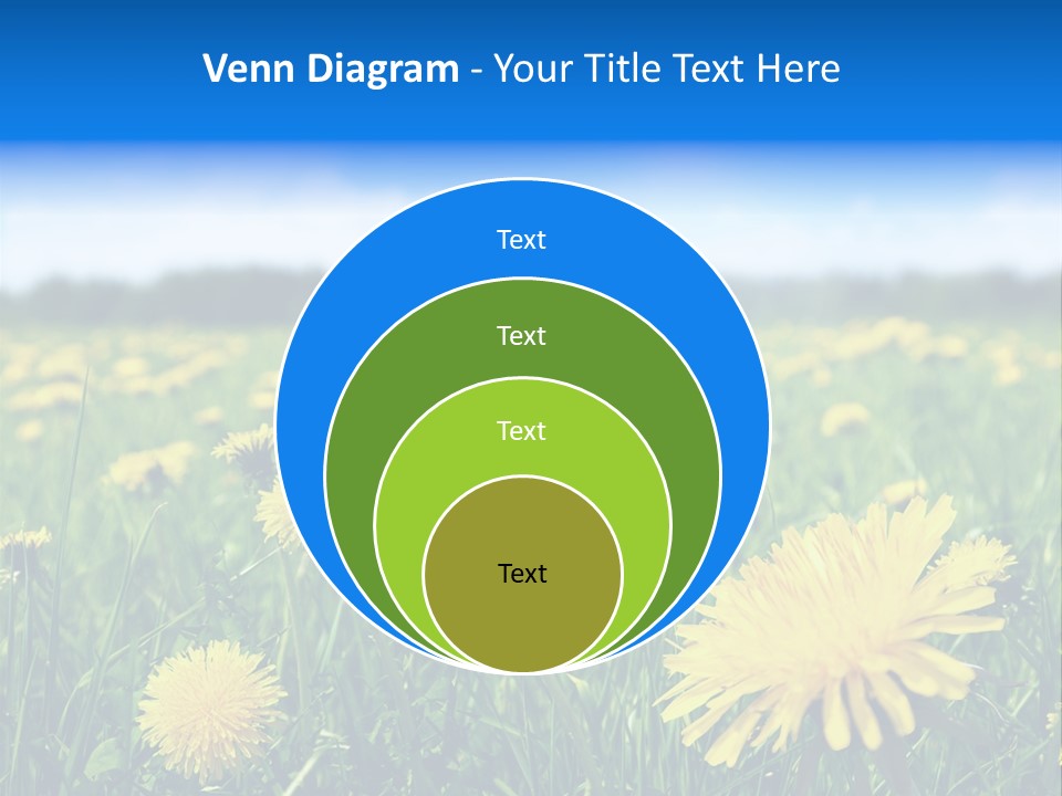 A Field Full Of Yellow Dandelions Under A Blue Sky PowerPoint Template