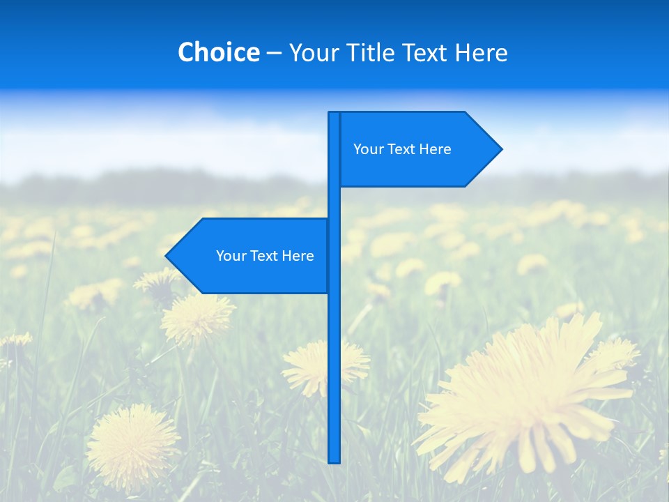 A Field Full Of Yellow Dandelions Under A Blue Sky PowerPoint Template