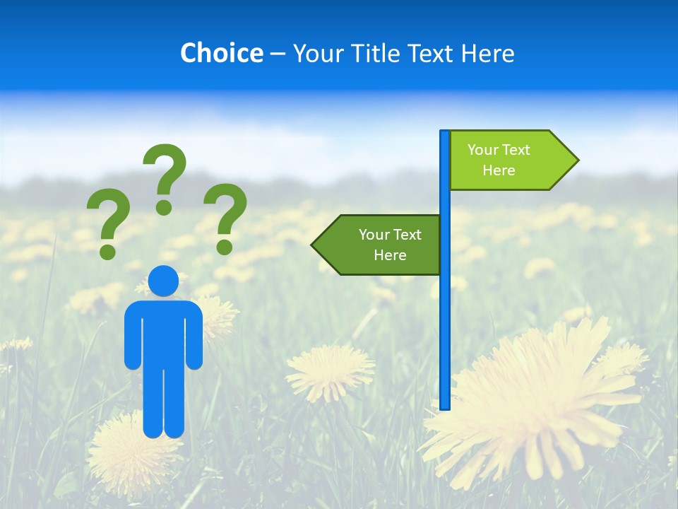 A Field Full Of Yellow Dandelions Under A Blue Sky PowerPoint Template