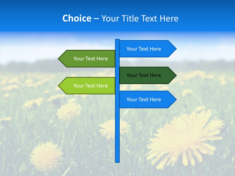 A Field Full Of Yellow Dandelions Under A Blue Sky PowerPoint Template