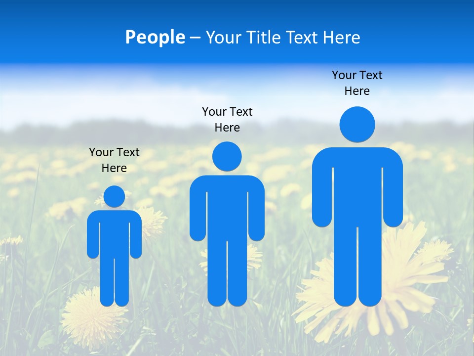 A Field Full Of Yellow Dandelions Under A Blue Sky PowerPoint Template