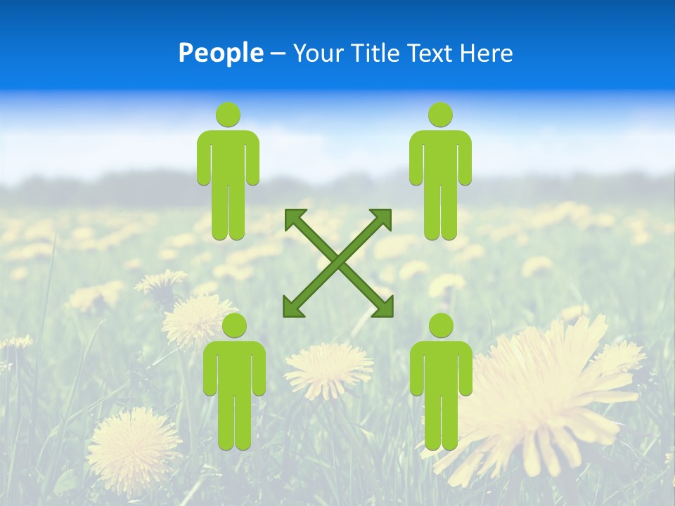 A Field Full Of Yellow Dandelions Under A Blue Sky PowerPoint Template
