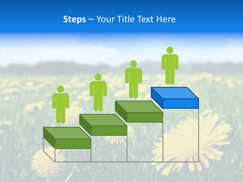 A Field Full Of Yellow Dandelions Under A Blue Sky PowerPoint Template