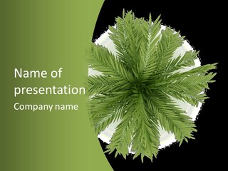 A Green Plant With A White Background PowerPoint Template