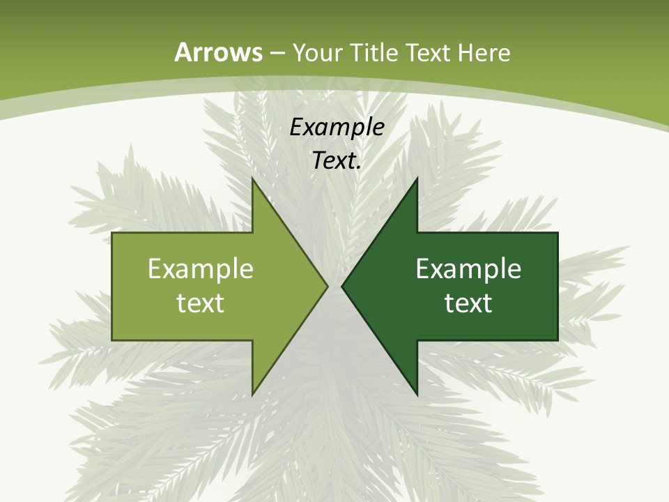 A Green Plant With A White Background PowerPoint Template