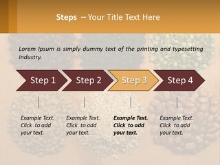 A Wooden Table Topped With Lots Of Different Types Of Beans PowerPoint Template