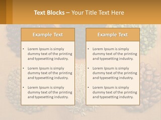 A Wooden Table Topped With Lots Of Different Types Of Beans PowerPoint Template