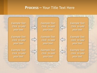 A Wooden Table Topped With Lots Of Different Types Of Beans PowerPoint Template