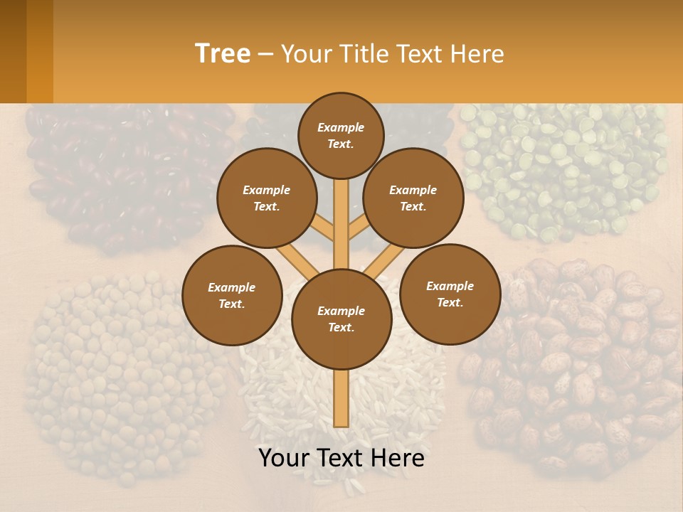 A Wooden Table Topped With Lots Of Different Types Of Beans PowerPoint Template