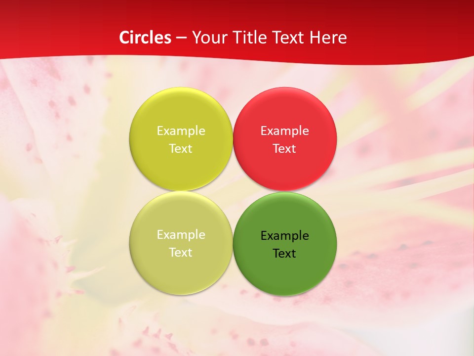 A Pink Flower With Yellow Center On A Red Background PowerPoint Template
