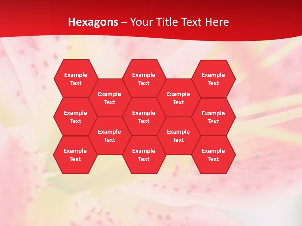 A Pink Flower With Yellow Center On A Red Background PowerPoint Template