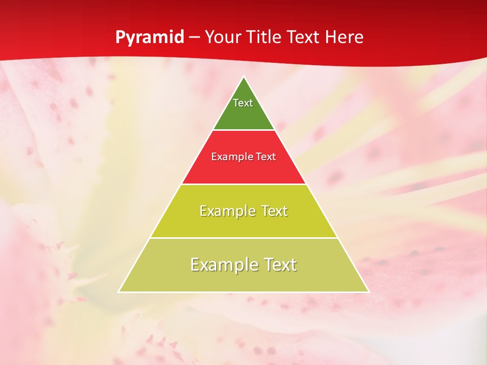 A Pink Flower With Yellow Center On A Red Background PowerPoint Template
