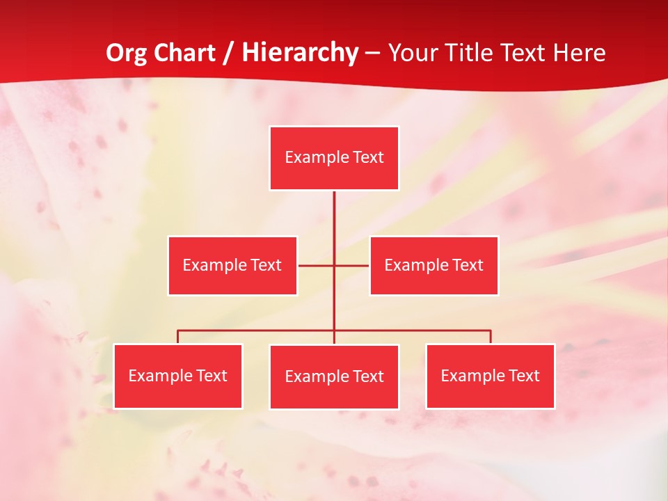 A Pink Flower With Yellow Center On A Red Background PowerPoint Template