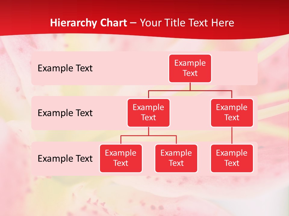 A Pink Flower With Yellow Center On A Red Background PowerPoint Template