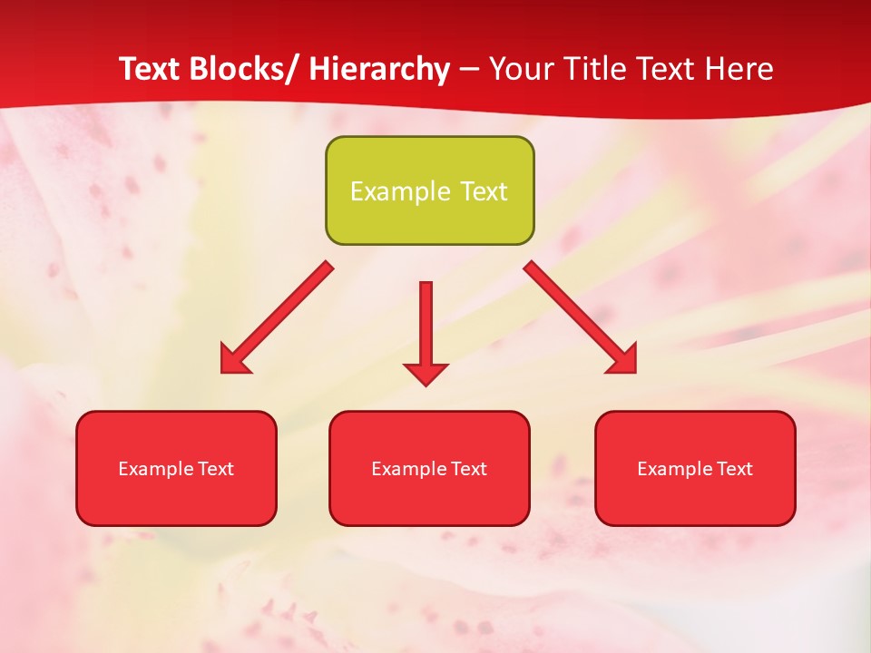 A Pink Flower With Yellow Center On A Red Background PowerPoint Template