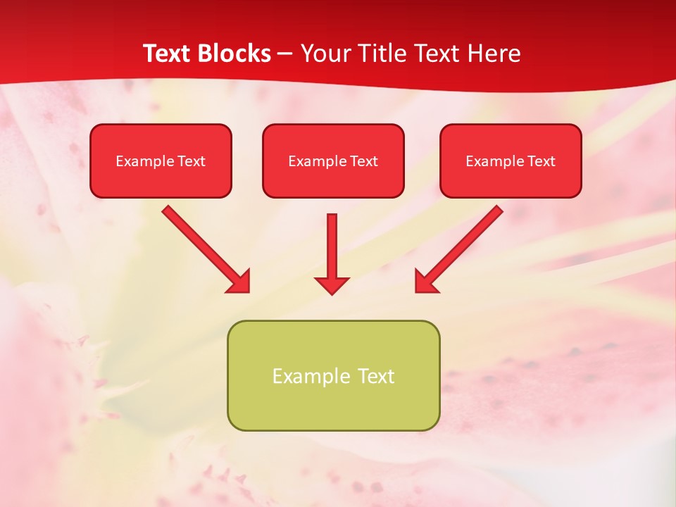 A Pink Flower With Yellow Center On A Red Background PowerPoint Template