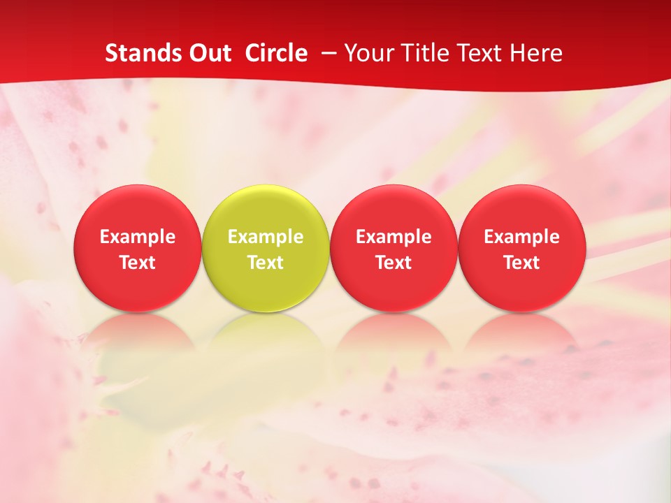 A Pink Flower With Yellow Center On A Red Background PowerPoint Template