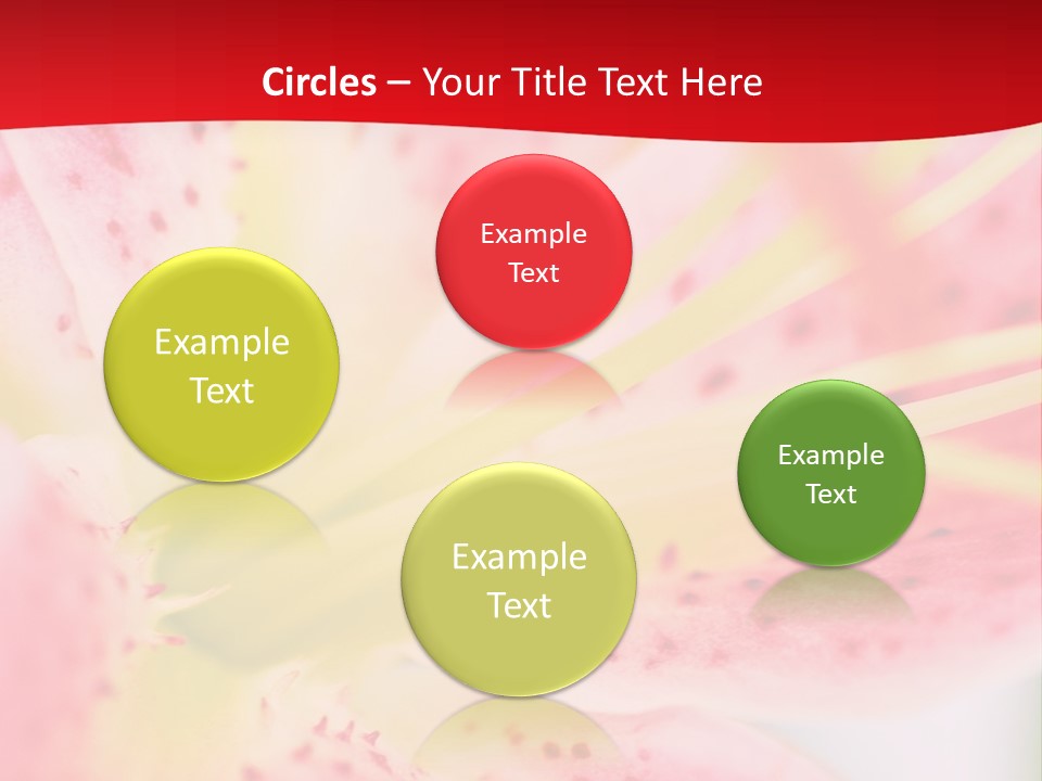 A Pink Flower With Yellow Center On A Red Background PowerPoint Template