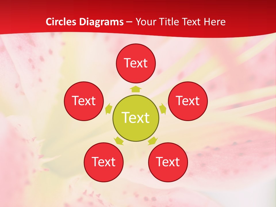 A Pink Flower With Yellow Center On A Red Background PowerPoint Template