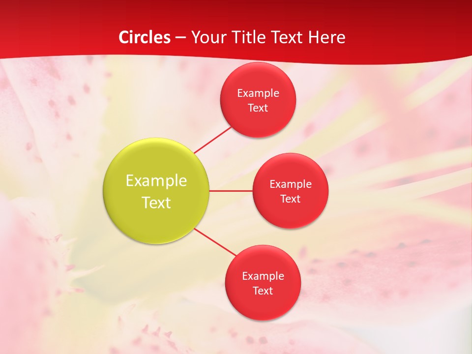 A Pink Flower With Yellow Center On A Red Background PowerPoint Template