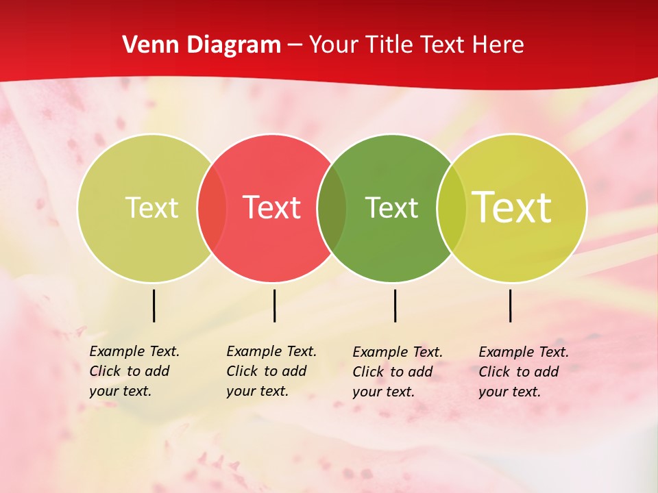 A Pink Flower With Yellow Center On A Red Background PowerPoint Template
