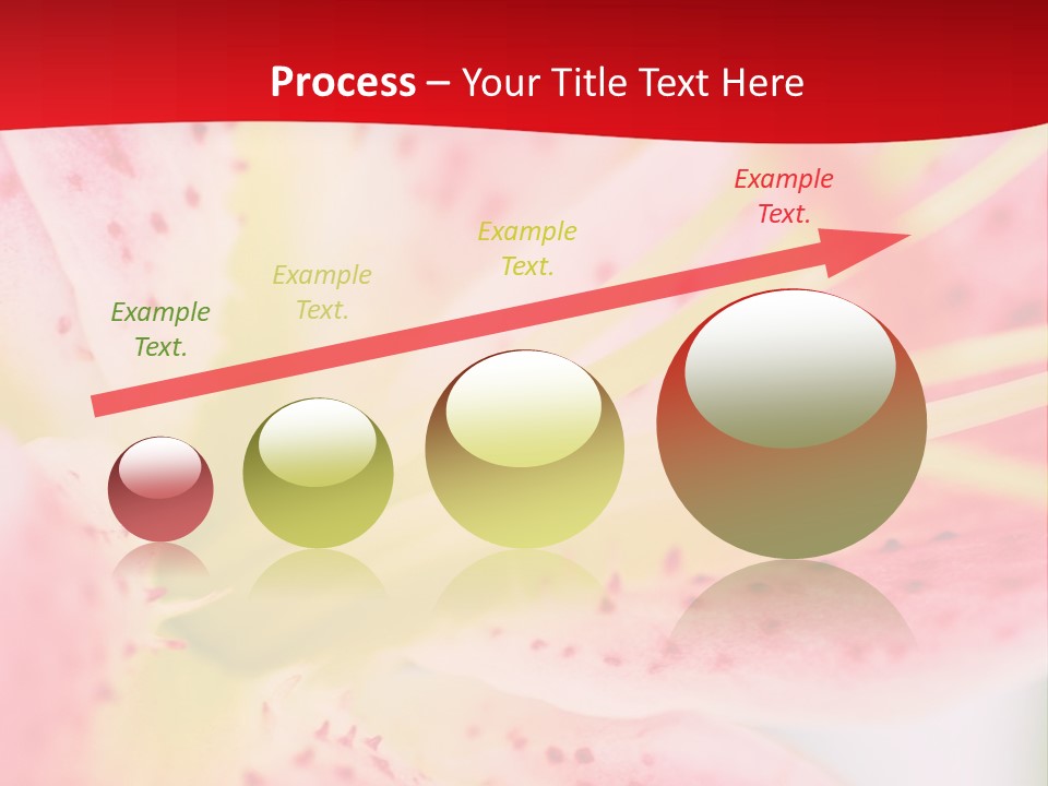 A Pink Flower With Yellow Center On A Red Background PowerPoint Template