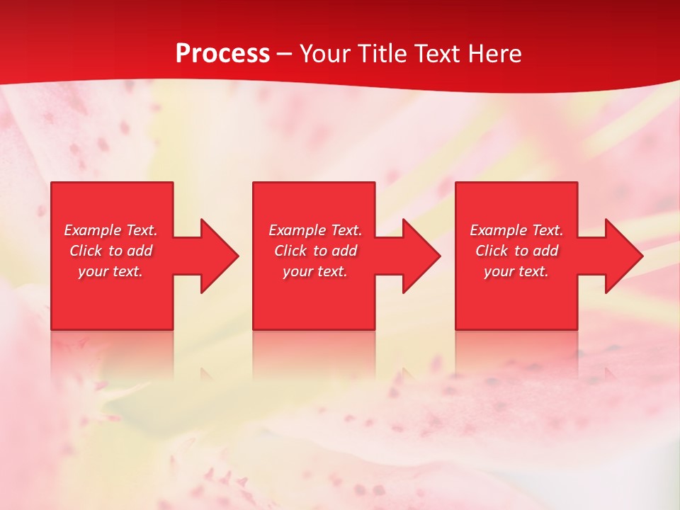 A Pink Flower With Yellow Center On A Red Background PowerPoint Template