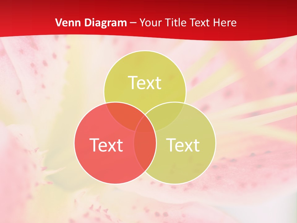 A Pink Flower With Yellow Center On A Red Background PowerPoint Template