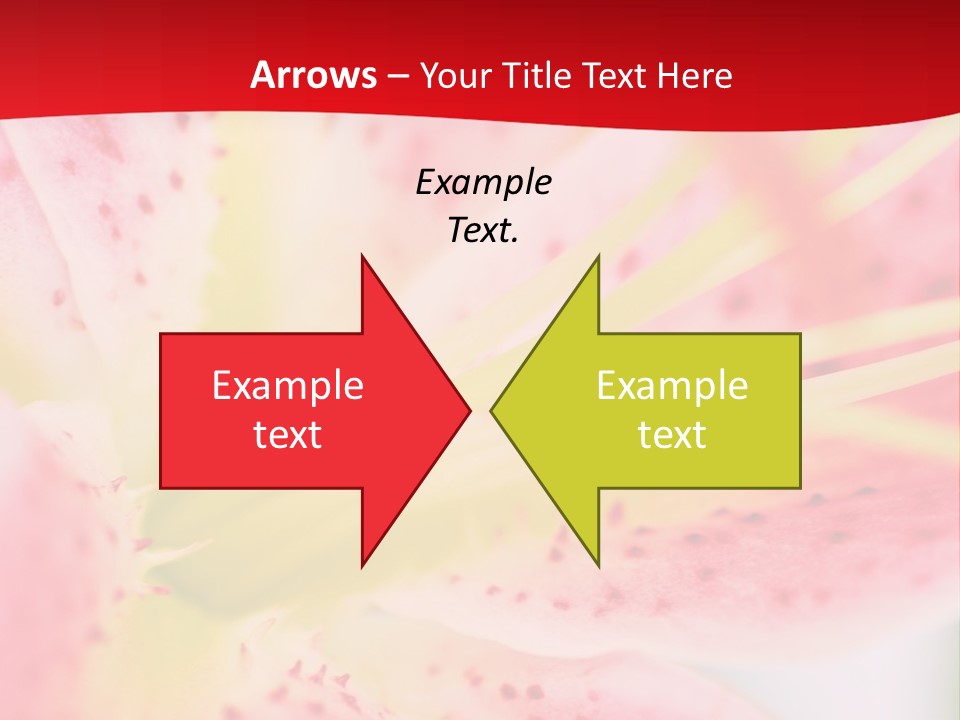 A Pink Flower With Yellow Center On A Red Background PowerPoint Template