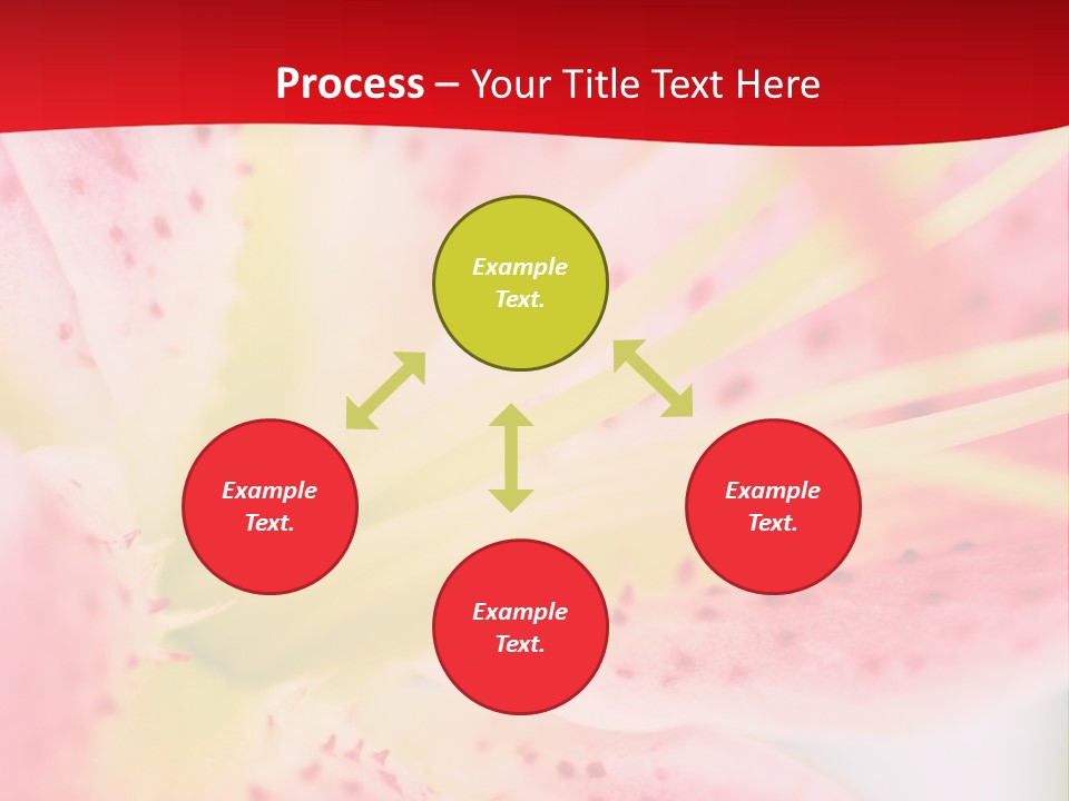 A Pink Flower With Yellow Center On A Red Background PowerPoint Template