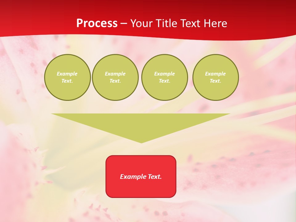 A Pink Flower With Yellow Center On A Red Background PowerPoint Template