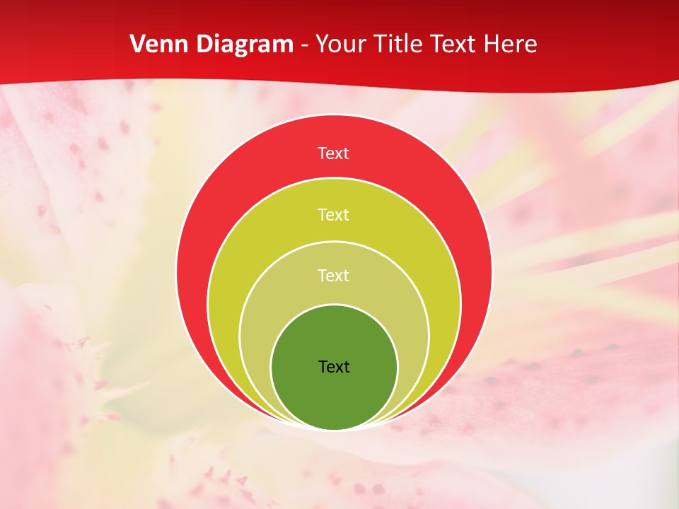 A Pink Flower With Yellow Center On A Red Background PowerPoint Template