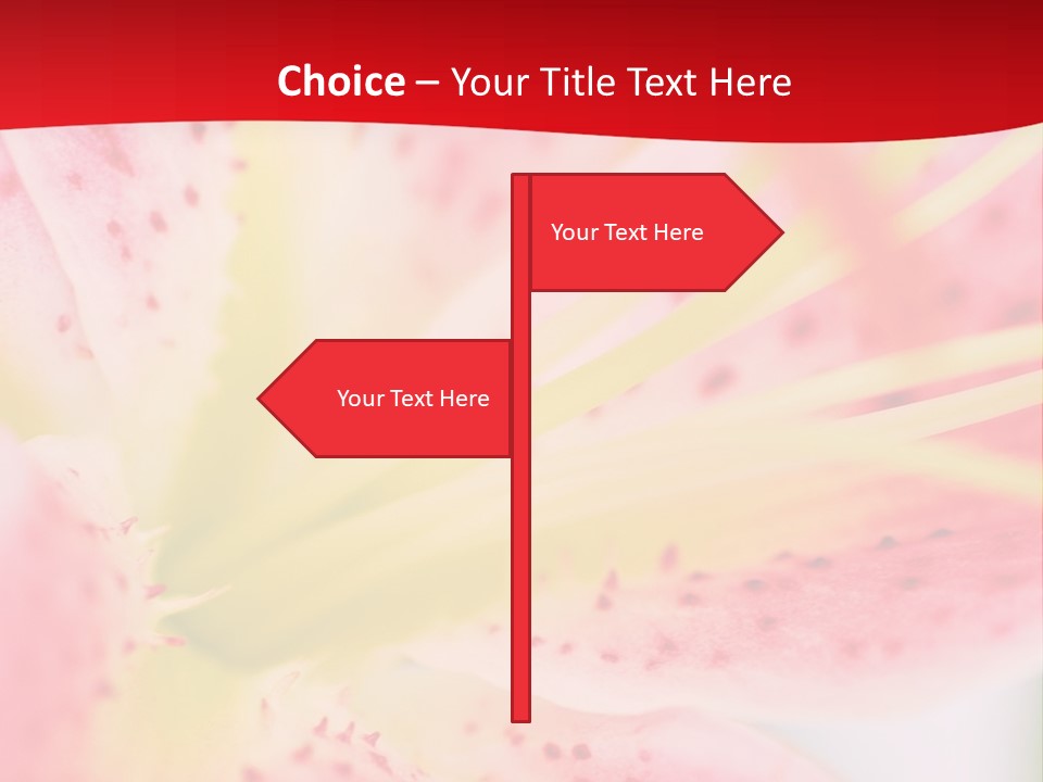 A Pink Flower With Yellow Center On A Red Background PowerPoint Template