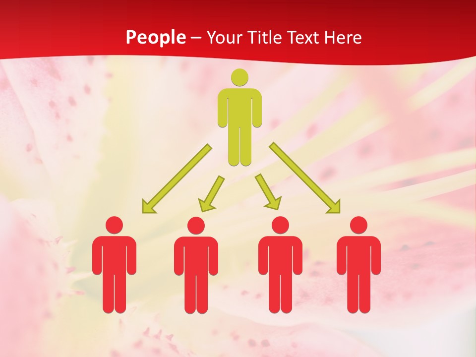 A Pink Flower With Yellow Center On A Red Background PowerPoint Template