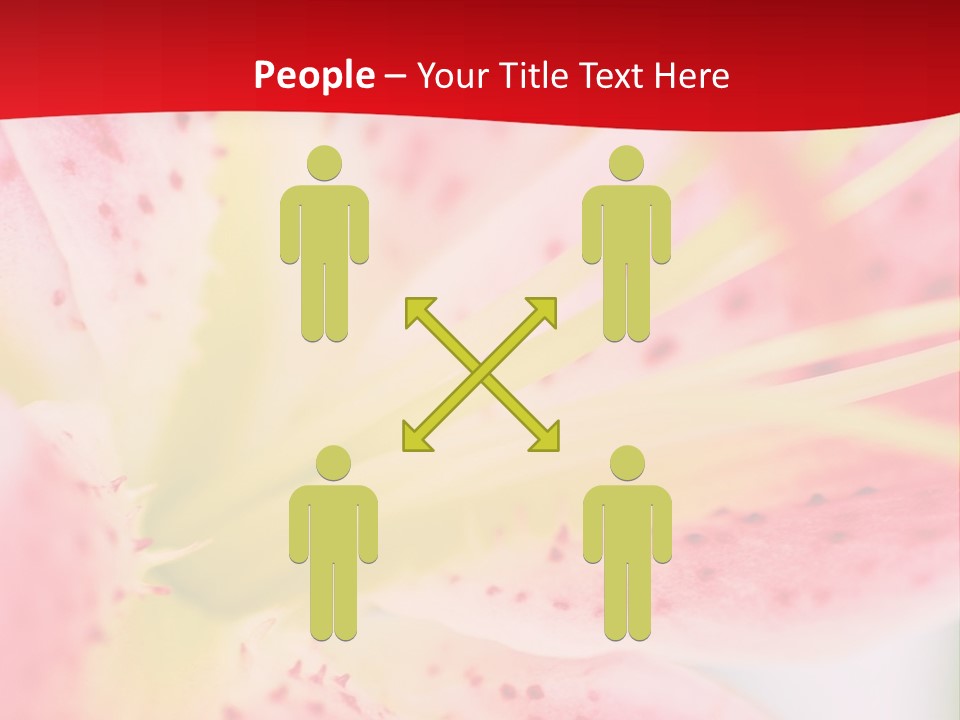 A Pink Flower With Yellow Center On A Red Background PowerPoint Template