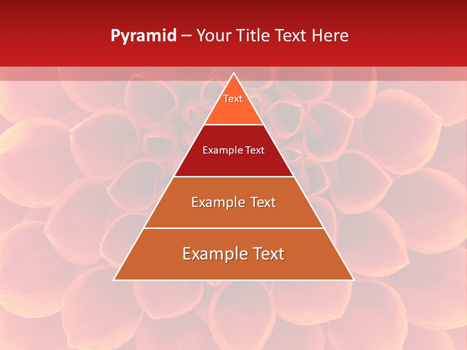 A Red And Yellow Flower Powerpoint Presentation PowerPoint Template