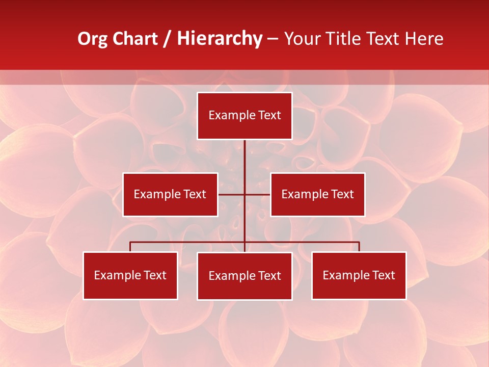 A Red And Yellow Flower Powerpoint Presentation PowerPoint Template