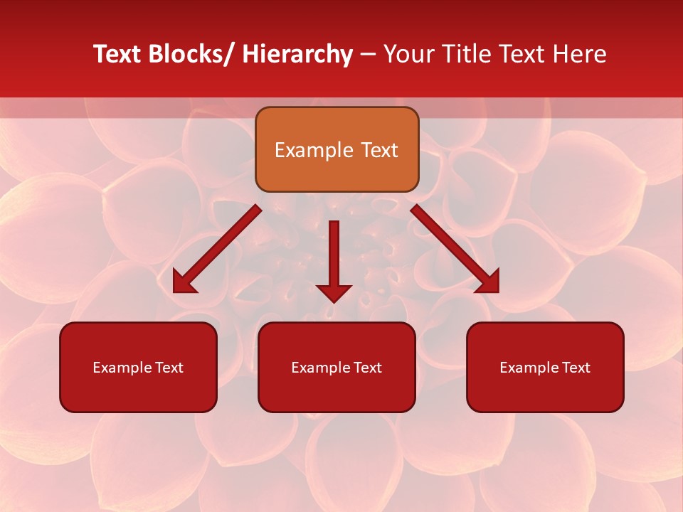 A Red And Yellow Flower Powerpoint Presentation PowerPoint Template