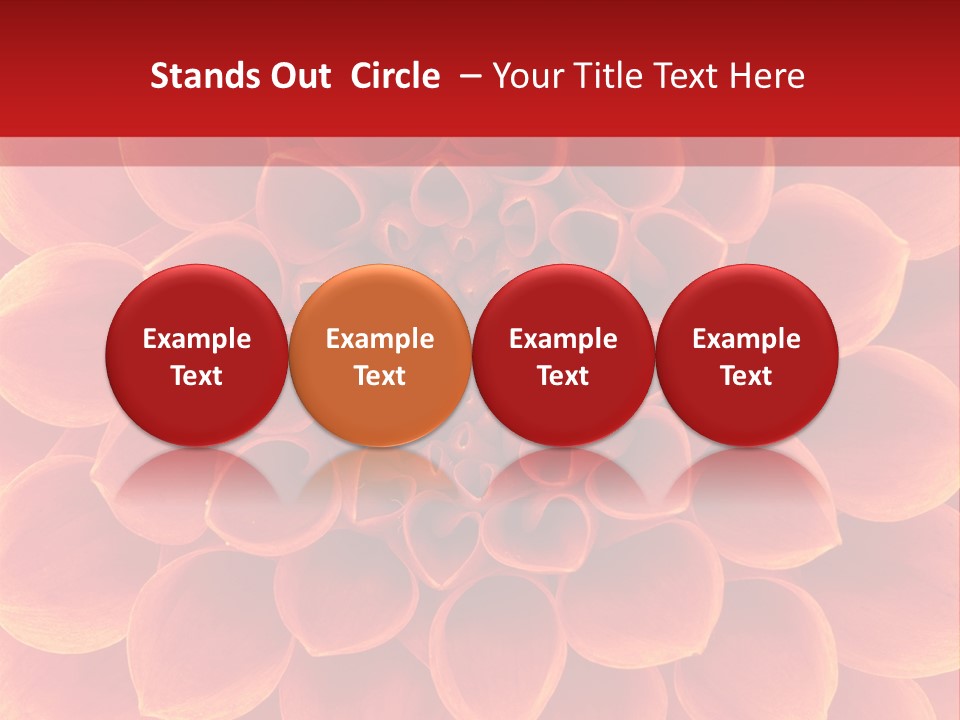 A Red And Yellow Flower Powerpoint Presentation PowerPoint Template