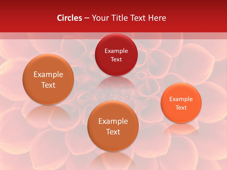 A Red And Yellow Flower Powerpoint Presentation PowerPoint Template