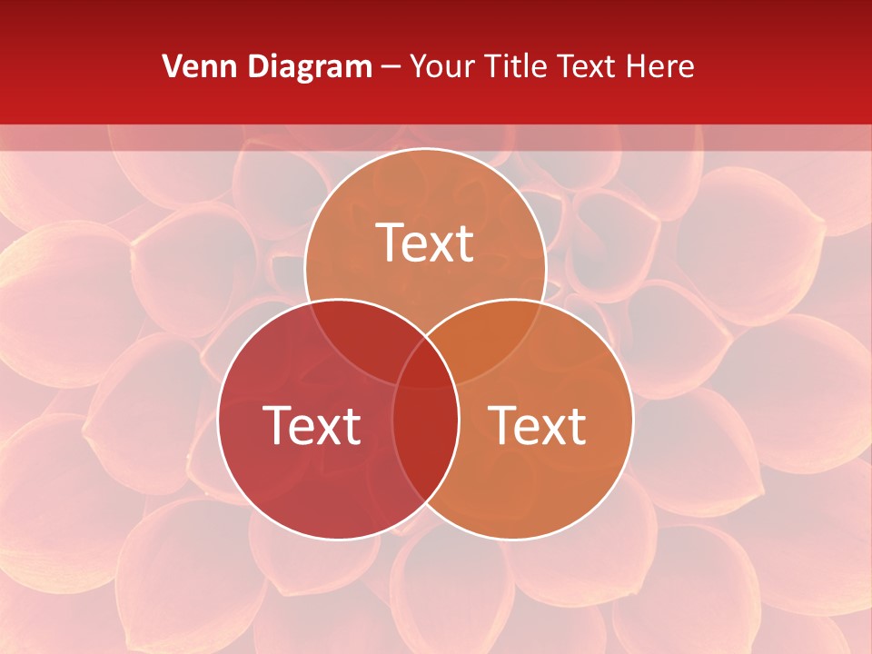 A Red And Yellow Flower Powerpoint Presentation PowerPoint Template