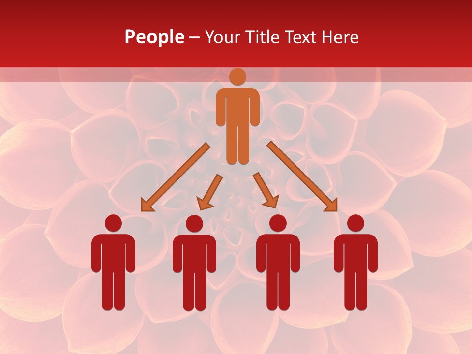 A Red And Yellow Flower Powerpoint Presentation PowerPoint Template