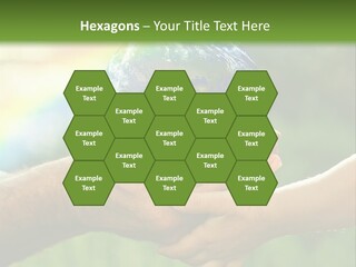 A Person Holding A Small Earth In Their Hands PowerPoint Template